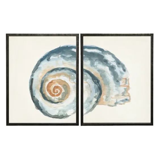 Diptych Shell Framed Art Print, Set Of 2-Kirkland's Home Fashion