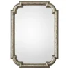 Distressed Silver Leaf Wooden Frame Wall Mirror-Kirkland's Home Discount