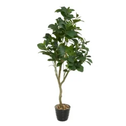 Douban Green In Ribbed Rock Planter-Kirkland's Home Flash Sale