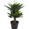 Double Agave Succulent, 29 In.-Kirkland's Home Clearance