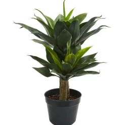 Double Agave Succulent, 29 In.-Kirkland's Home Clearance