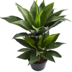 Double Agave Succulent, 29 In.-Kirkland's Home Clearance