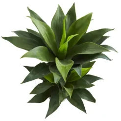 Double Agave Succulent, 29 In.-Kirkland's Home Clearance