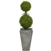 Double Ball Boxwood Topiary In River Rock Planter-Kirkland's Home Flash Sale