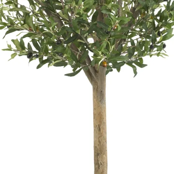 Double Ball Olive Tree Topiary-Kirkland's Home Outlet