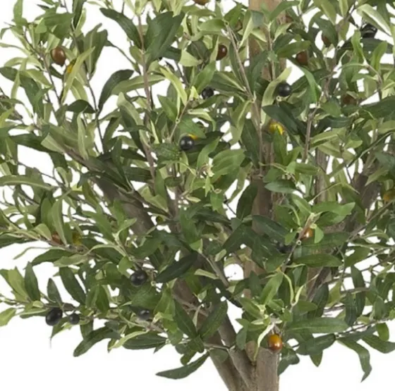 Double Ball Olive Tree Topiary-Kirkland's Home Outlet
