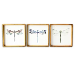 Dragonfly Framed Art Prints, Set Of 3-Kirkland's Home Clearance
