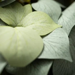 Draping Grape Ivy Leaf Bush-Kirkland's Home Shop
