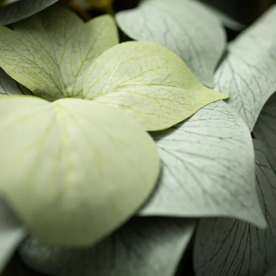 Draping Grape Ivy Leaf Bush-Kirkland's Home Shop