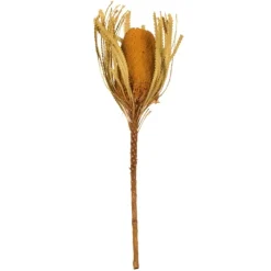Dried And Dyed Jumbo Banksia Stems, Set Of 3-Kirkland's Home Store
