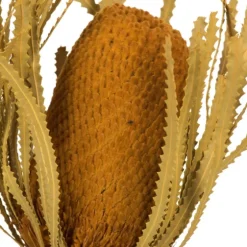 Dried And Dyed Jumbo Banksia Stems, Set Of 3-Kirkland's Home Store