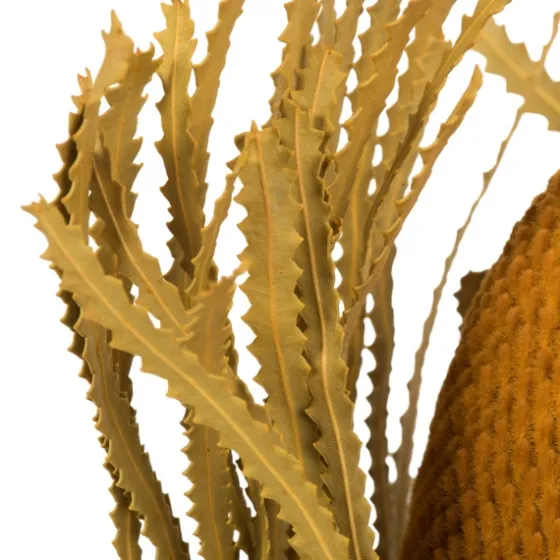 Dried And Dyed Jumbo Banksia Stems, Set Of 3-Kirkland's Home Store