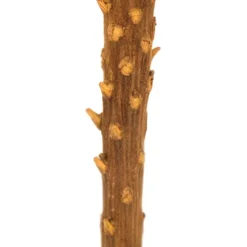Dried And Dyed Jumbo Banksia Stems, Set Of 3-Kirkland's Home Store