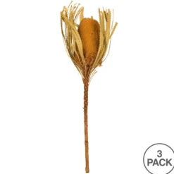 Dried And Dyed Jumbo Banksia Stems, Set Of 3-Kirkland's Home Store