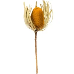 Dried Jumbo Banksia Stems, Set Of 3-Kirkland's Home Store