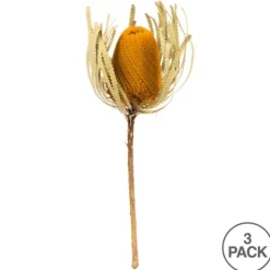 Dried Jumbo Banksia Stems, Set Of 3-Kirkland's Home Store