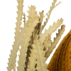 Dried Jumbo Banksia Stems, Set Of 3-Kirkland's Home Store