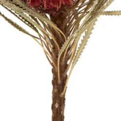 Dried Jumbo Banksia Stems, Set Of 3-Kirkland's Home Fashion