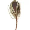 Dried Jumbo Banksia Stems, Set Of 3-Kirkland's Home Hot
