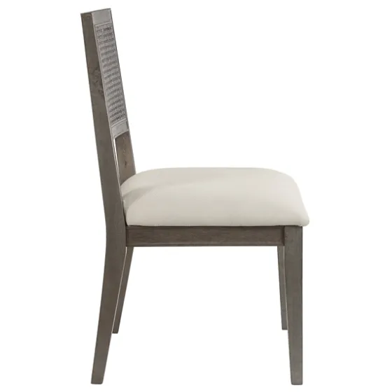Dusty Gray Cane Back 2-Pc. Dining Chair Set-Kirkland's Home Discount