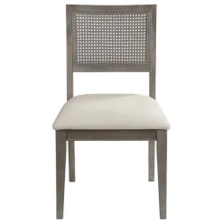 Dusty Gray Cane Back 2-Pc. Dining Chair Set-Kirkland's Home Discount