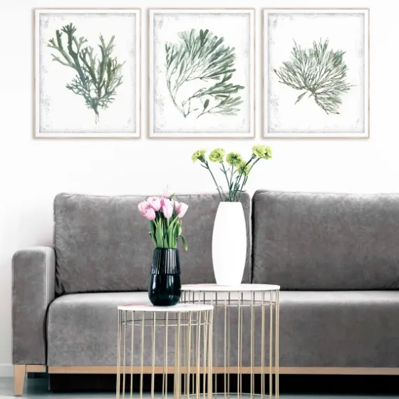 Emerald Coral I 3-Pc. Framed Art Print Set-Kirkland's Home Flash Sale