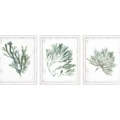 Emerald Coral I 3-Pc. Framed Art Print Set-Kirkland's Home Flash Sale