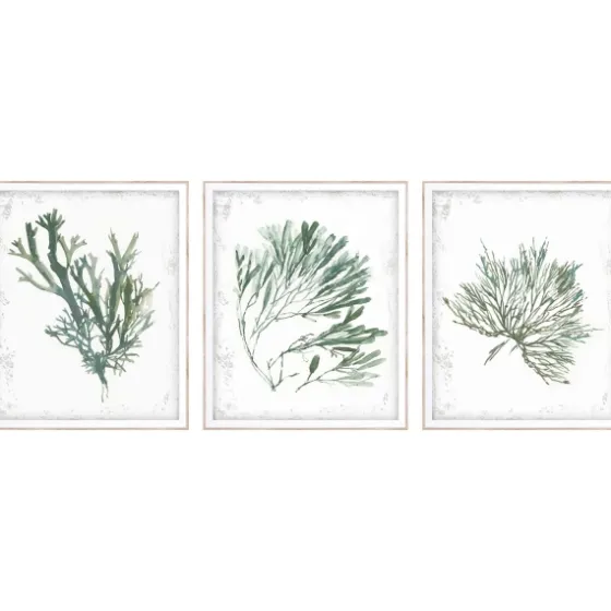 Emerald Coral I 3-Pc. Framed Art Print Set-Kirkland's Home Flash Sale