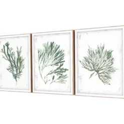 Emerald Coral I 3-Pc. Framed Art Print Set-Kirkland's Home Flash Sale