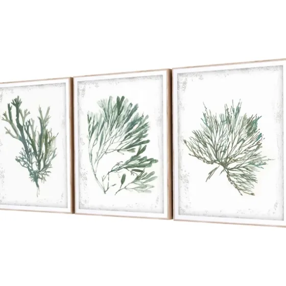 Emerald Coral I 3-Pc. Framed Art Print Set-Kirkland's Home Flash Sale