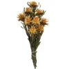 En Preserved Plumosum Flower Bundle-Kirkland's Home Hot