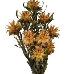 En Preserved Plumosum Flower Bundle-Kirkland's Home Hot