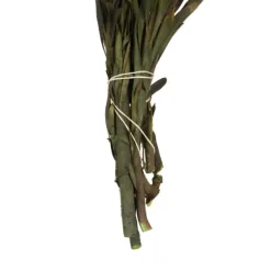 En Preserved Plumosum Flower Bundle-Kirkland's Home Hot