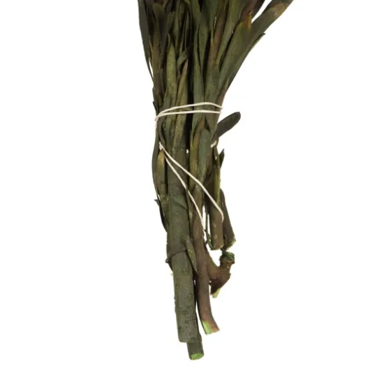 En Preserved Plumosum Flower Bundle-Kirkland's Home Hot