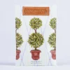 English Ivy Sachet-Kirkland's Home Outlet