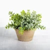Ery Arrangement In Terracotta Pot-Kirkland's Home Discount