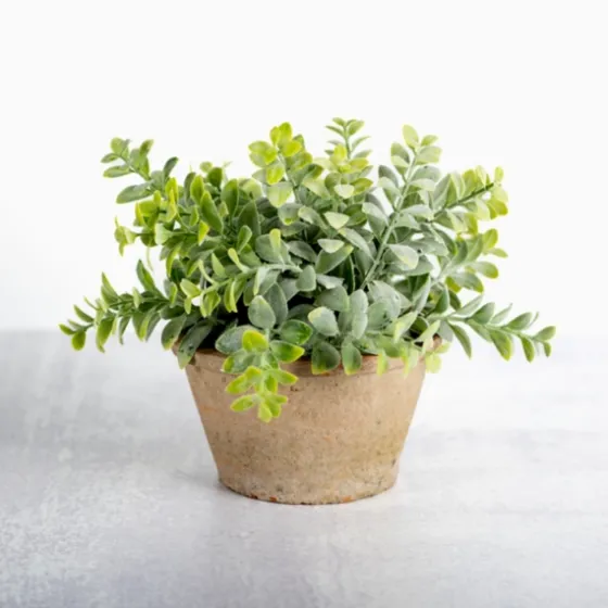 Ery Arrangement In Terracotta Pot-Kirkland's Home Discount