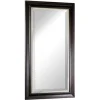 Espresso Framed Leaner Mirror-Kirkland's Home Outlet
