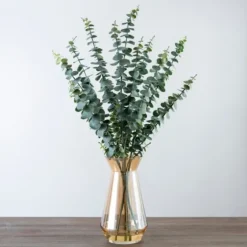 Eucalyptus And Amber Glass Vase Arrangement-Kirkland's Home Best Sale