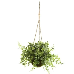 Eucalyptus And Berry Hanging Baskets, Set Of 3-Kirkland's Home Cheap