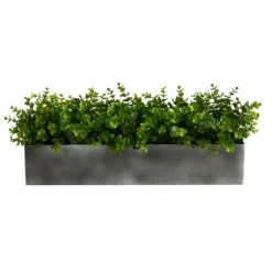 Eucalyptus Arrangement In Gray Planter Box-Kirkland's Home Shop