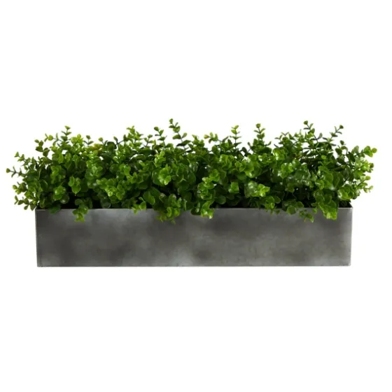 Eucalyptus Arrangement In Gray Planter Box-Kirkland's Home Shop