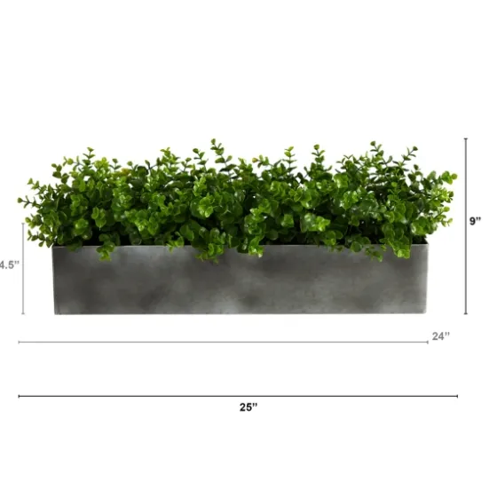 Eucalyptus Arrangement In Gray Planter Box-Kirkland's Home Shop