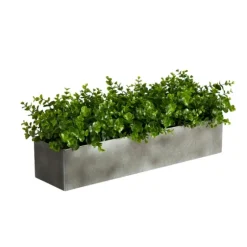 Eucalyptus Arrangement In Gray Planter Box-Kirkland's Home Shop