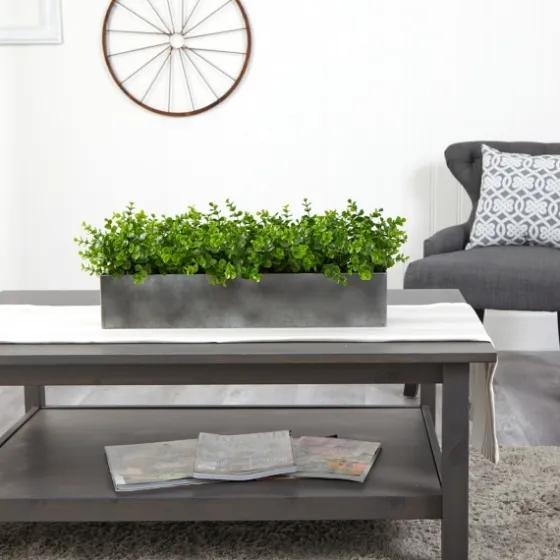 Eucalyptus Arrangement In Gray Planter Box-Kirkland's Home Shop