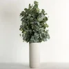 Eucalyptus Arrangement In White Ribbed Vase-Kirkland's Home Clearance