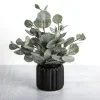 Eucalyptus Arrangement In Black Planter-Kirkland's Home Flash Sale
