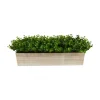 Eucalyptus Arrangement In Wide Wooden Planter-Kirkland's Home Discount