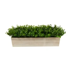Eucalyptus Arrangement In Wide Wooden Planter-Kirkland's Home Discount