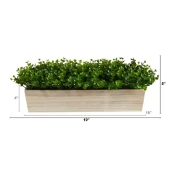 Eucalyptus Arrangement In Wide Wooden Planter-Kirkland's Home Discount